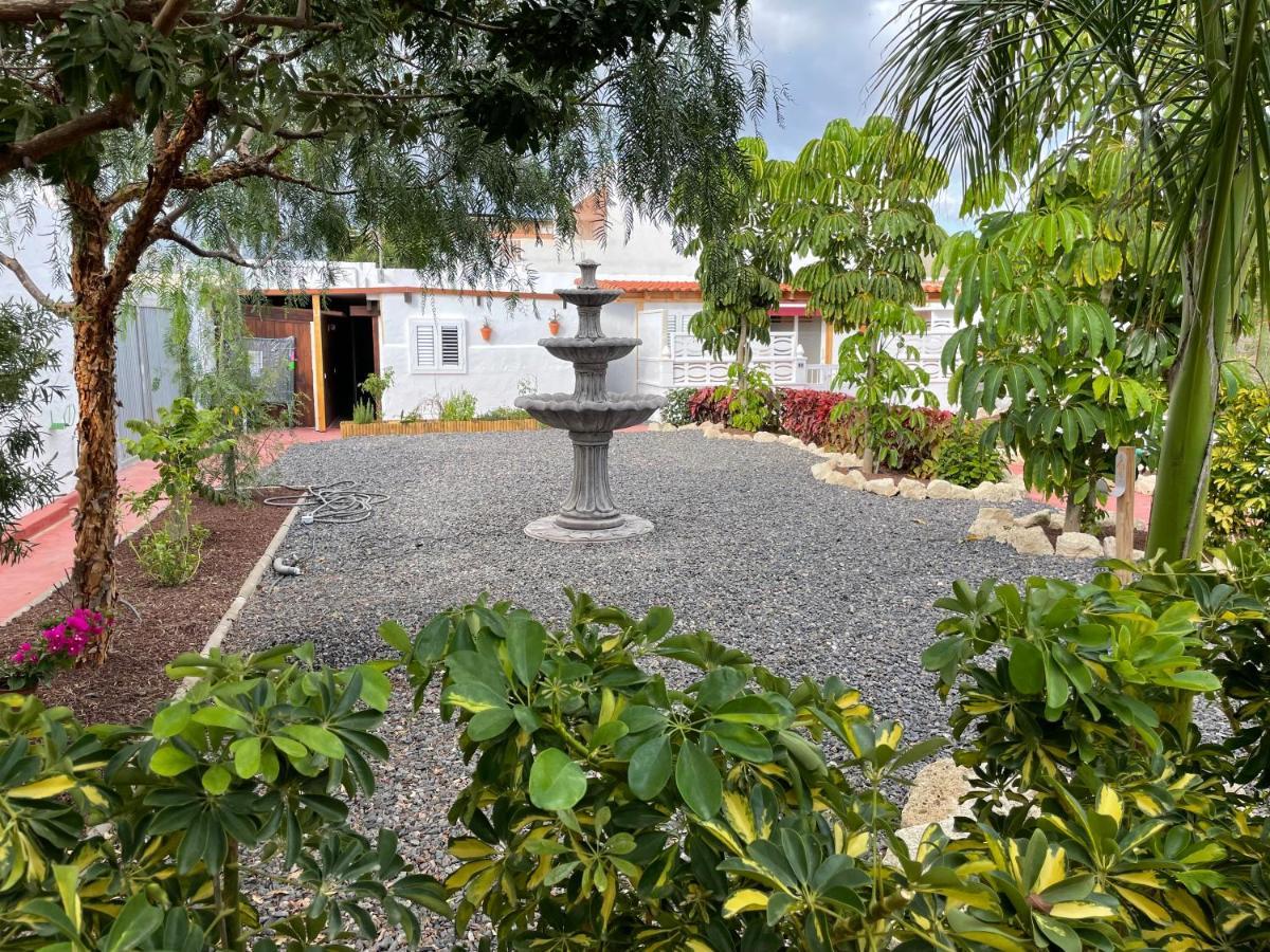 Casitas Paradise Arona  Exterior foto